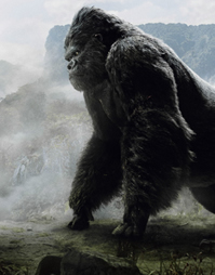 King Kong For RLalique Bid Rigging Article