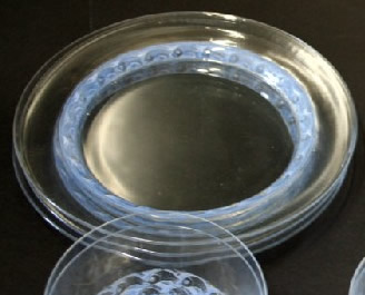 R. Lalique Pouilly Plate
