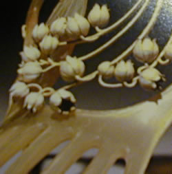 Rene Lalique Hair Comb Muguet Lilly-of-the-Valley