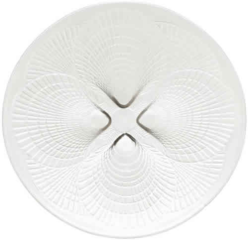 R. Lalique Coquilles Plate