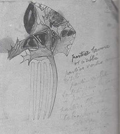R. Lalique Sea Holly Comb