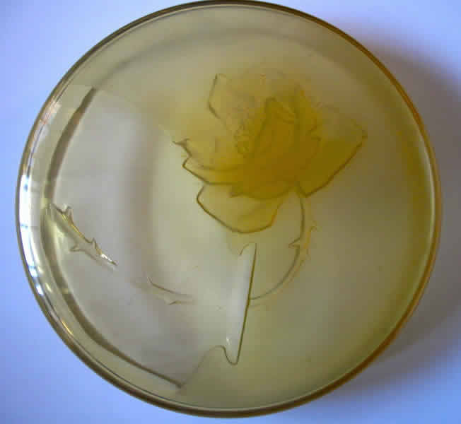 R. Lalique Une Rose Box