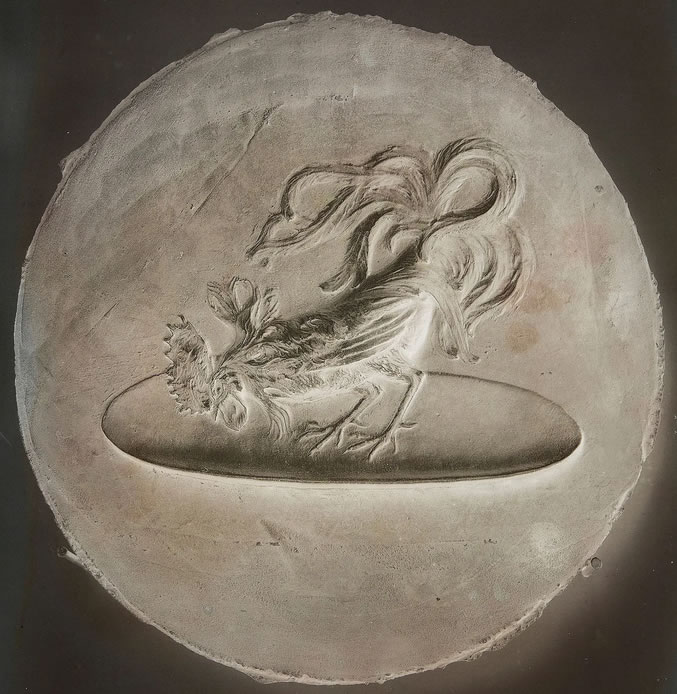 Rene Lalique Silver Gelatin-Bromide Dry Plate Coq