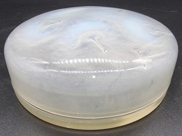 R. Lalique Houppes Powder Box 3 of 3