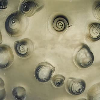 René Lalique Palissy Vase-Close-Up