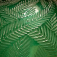 René Lalique Palmes Vase Close-Up