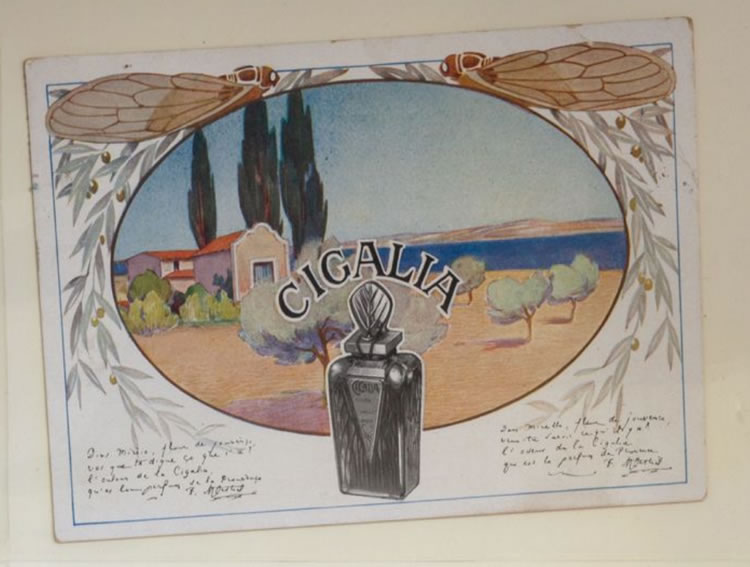Rene Lalique Cigalia Postcard