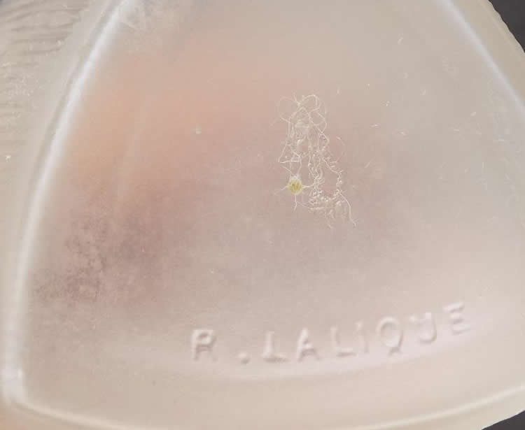 R. Lalique Tete Femme Box 2 of 2