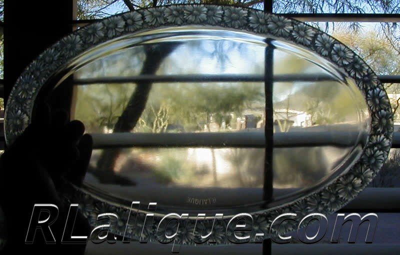 Rene Lalique Trays Paquerettes