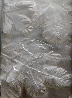 Lalique House In Paris: Single Glass Panel Close Up