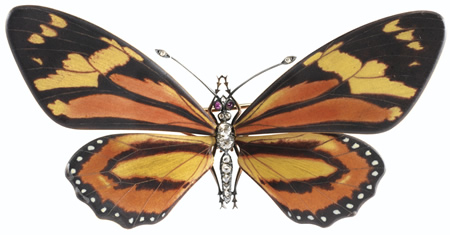 Rene Lalique Butterfly Brooch