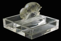 R. Lalique Chevre Glass Ashtray