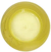 R. Lalique Antheor Yellow Amber Glass Ashtray